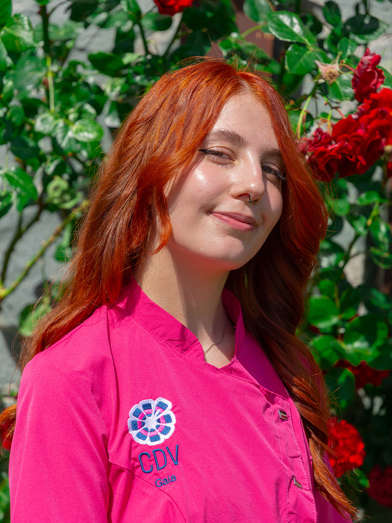 CDV - Gaia